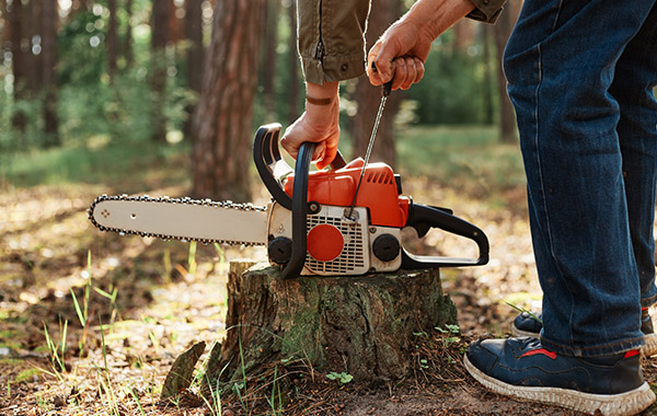 Stump Grinding Rome GA
